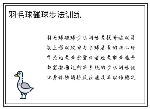 羽毛球碰球步法训练