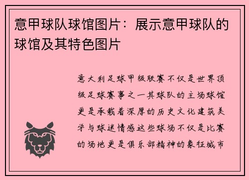 意甲球队球馆图片：展示意甲球队的球馆及其特色图片